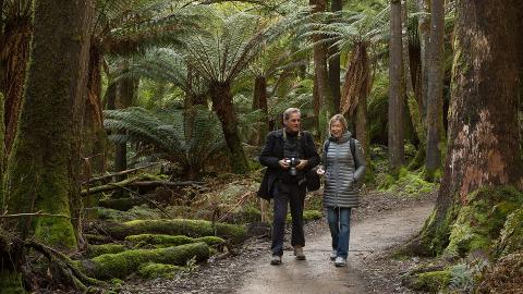 Mt Field National Park – Premium Private Photo-oriented Day Tour Tasmania Australia