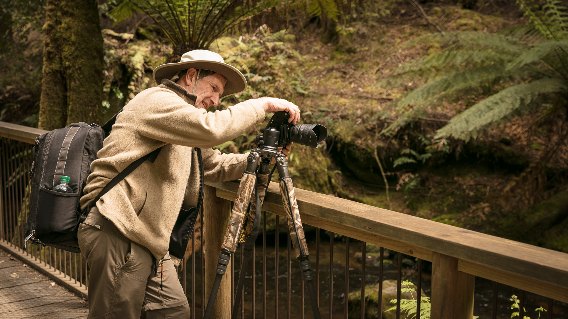 PREMIUM Mt Field National Park & Russell Falls - photo-oriented private day tour (all-inclusive)