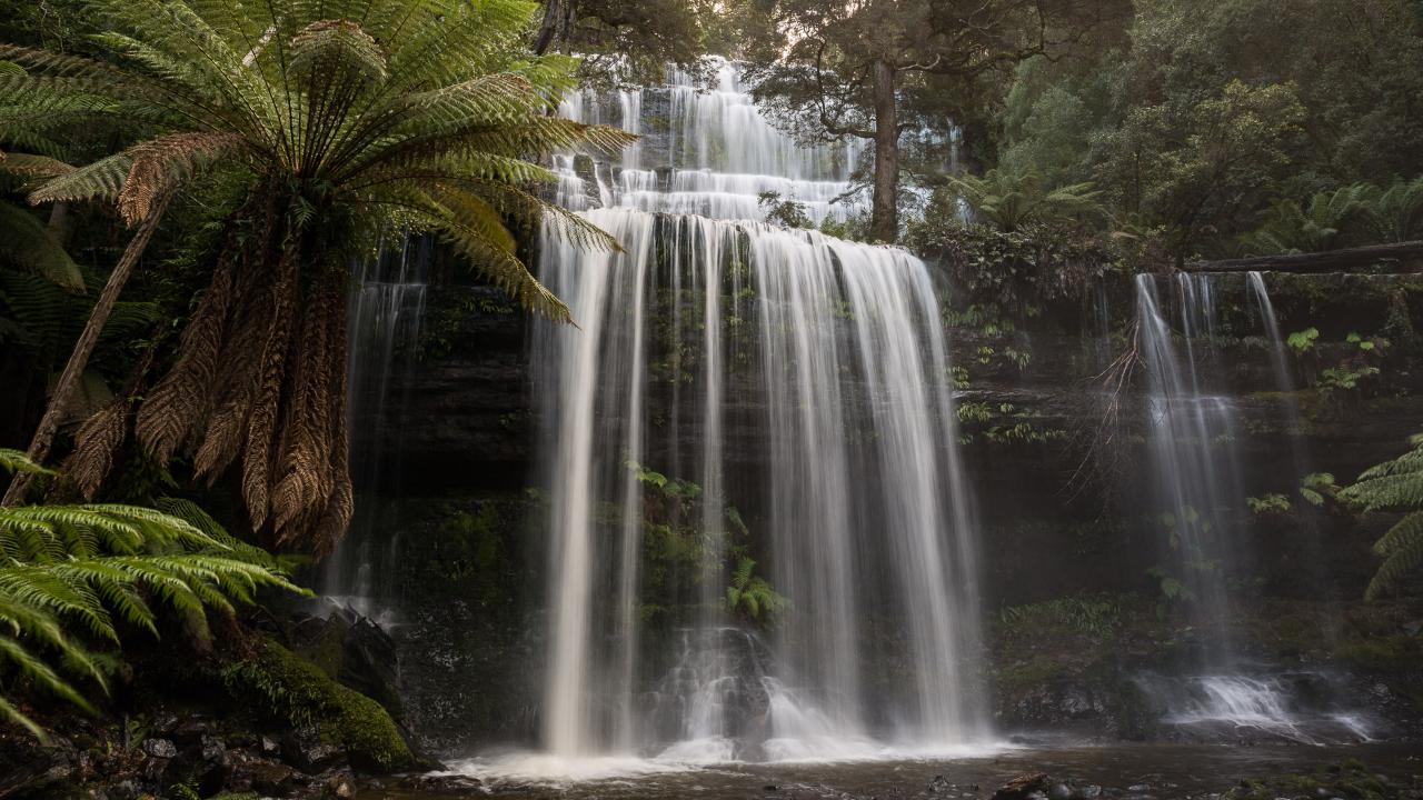 Mt Field National Park - Premium Private Photo-oriented Day Tour