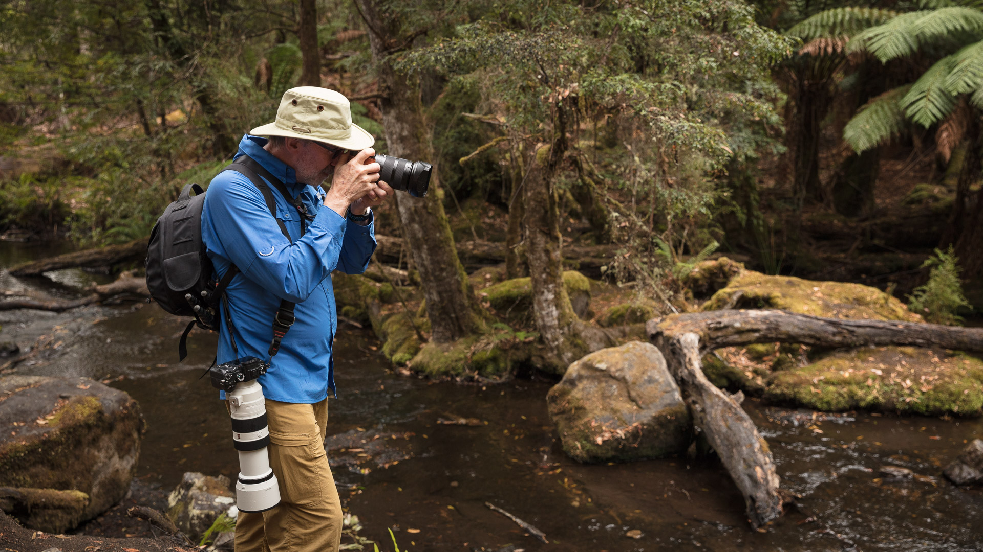 PREMIUM Mt Field National Park & Russell Falls - photo-oriented private day tour (all-inclusive)