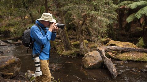 Mt Field National Park – Premium Private Photo-oriented Day Tour Tasmania Australia