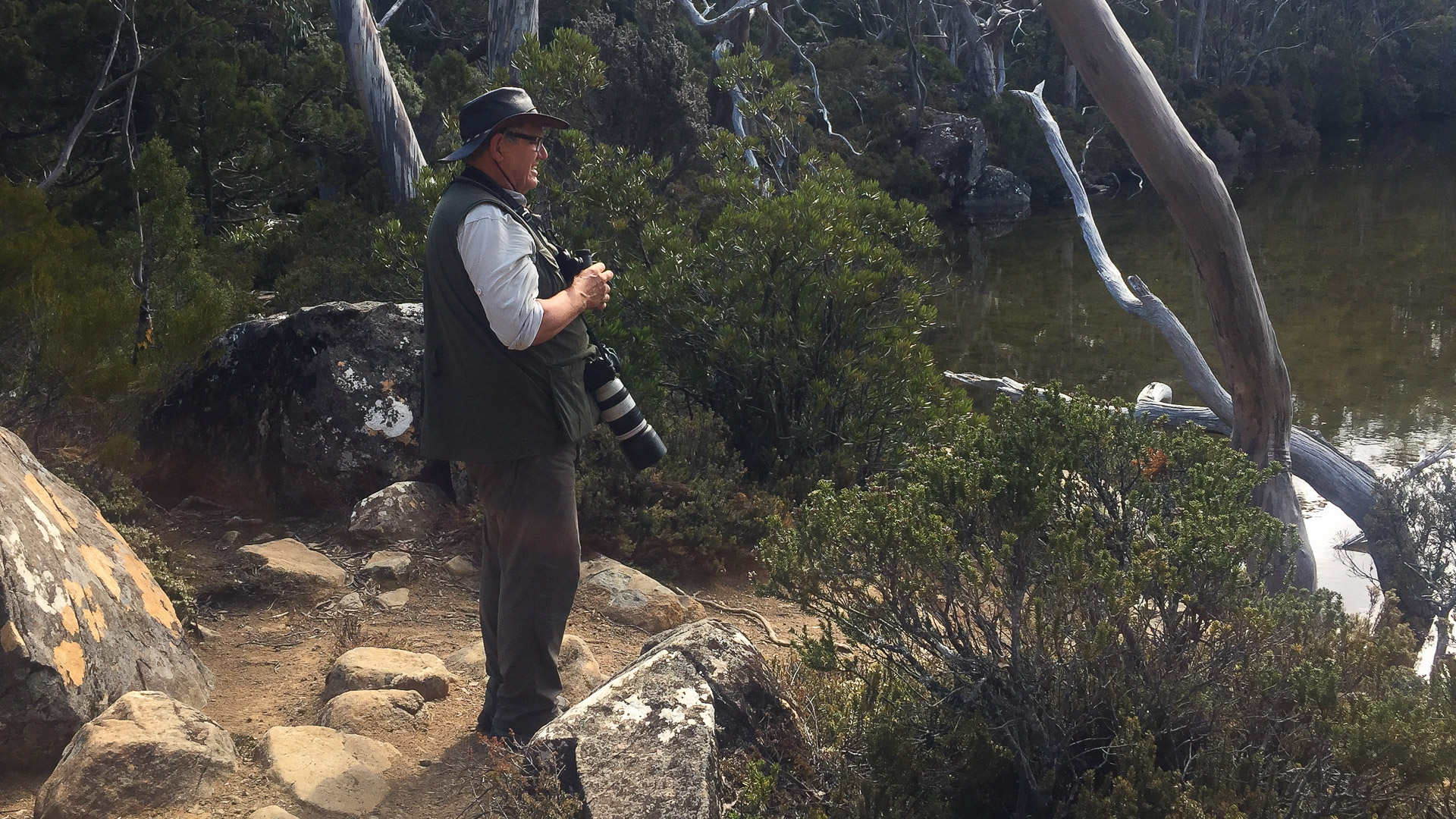 PREMIUM Mt Field National Park & Russell Falls - photo-oriented private day tour (all-inclusive)
