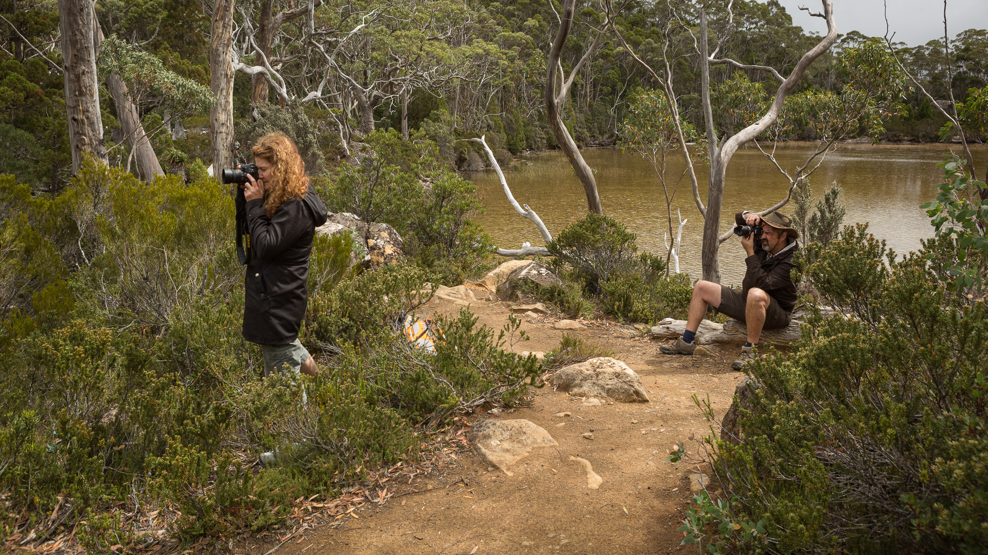PREMIUM Mt Field National Park & Russell Falls - photo-oriented private day tour (all-inclusive)