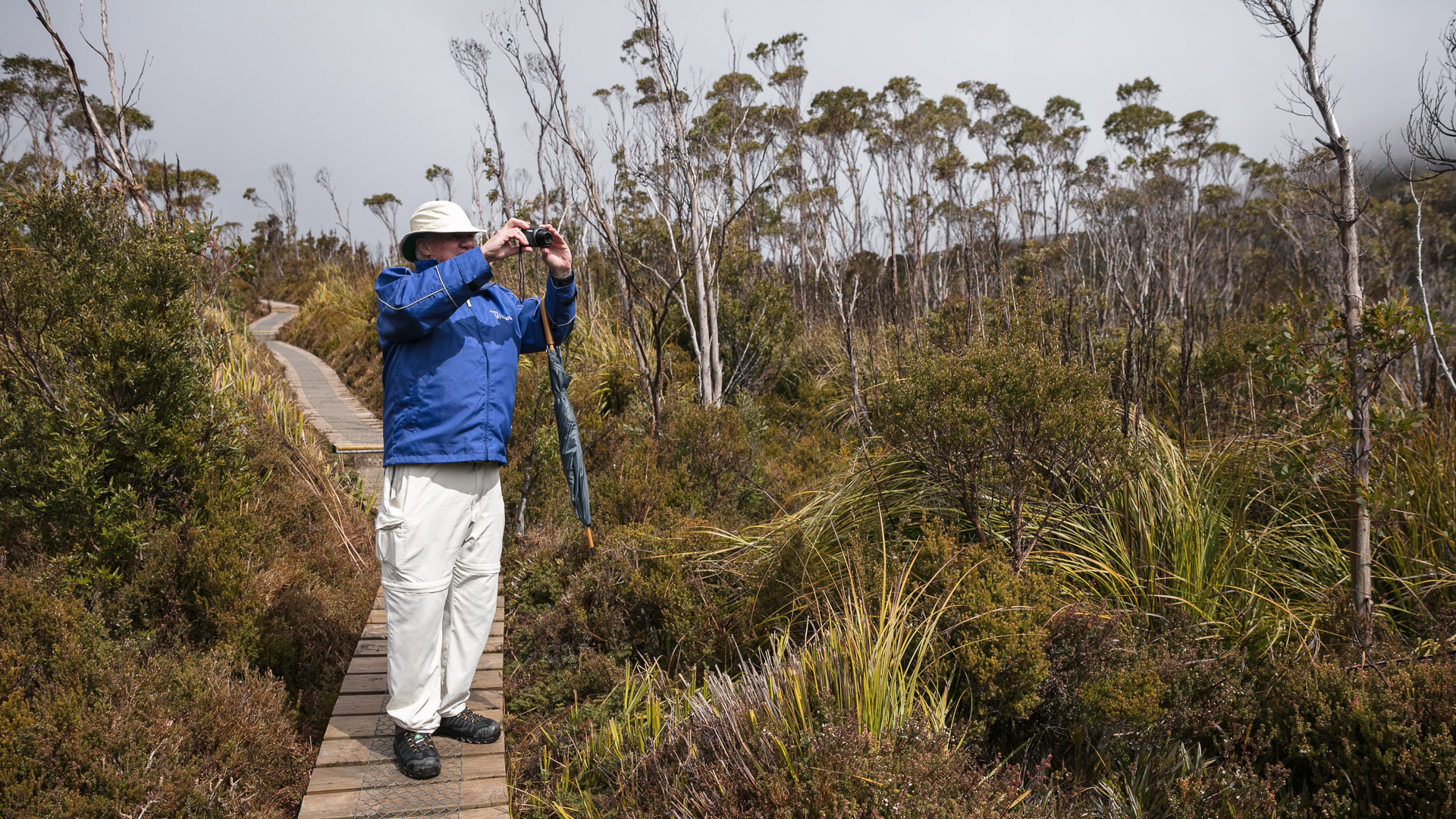 PREMIUM Hartz Mountains & Tahune Airwalk - photo-oriented private day tour (all-inclusive)