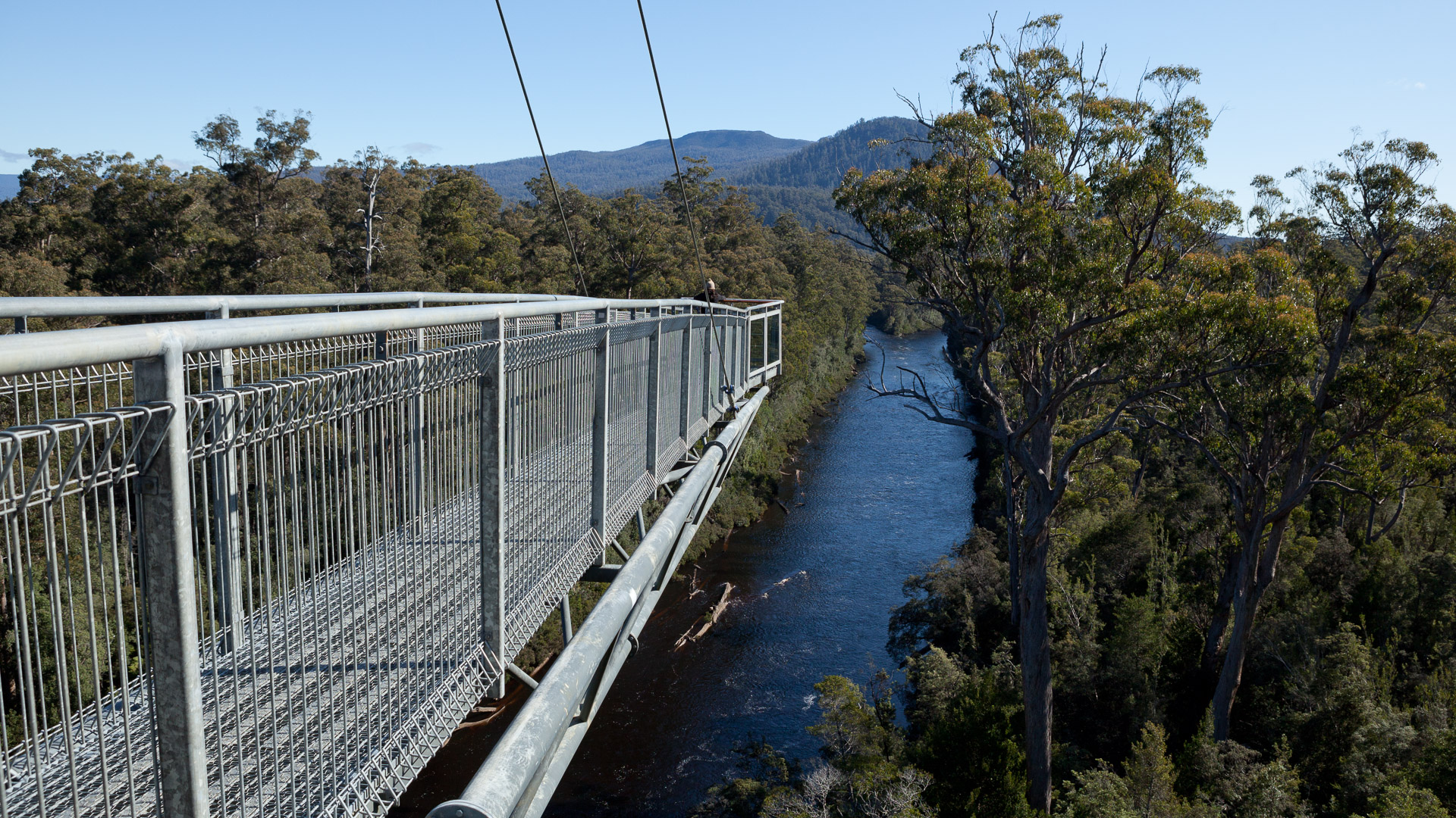 PREMIUM Hartz Mountains & Tahune Airwalk - photo-oriented private day tour (all-inclusive)