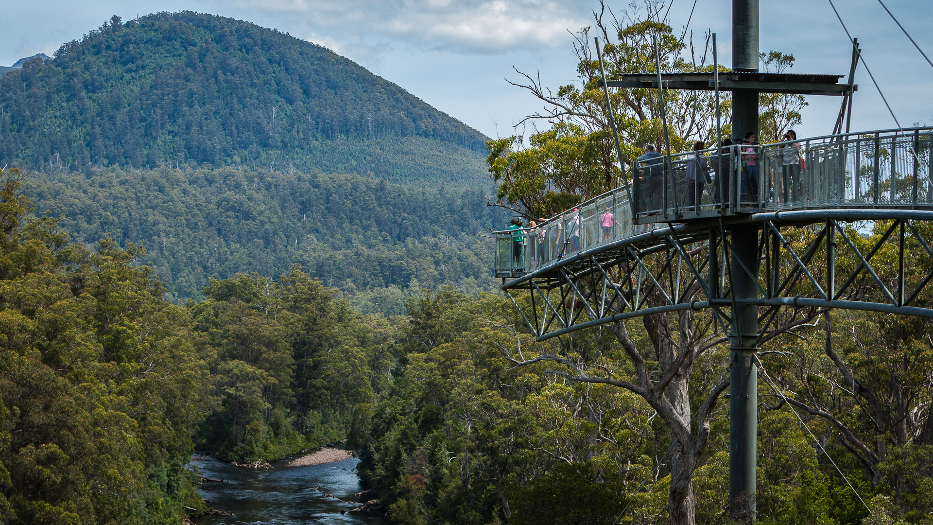 PREMIUM Hartz Mountains & Tahune Airwalk - photo-oriented private day tour (all-inclusive)