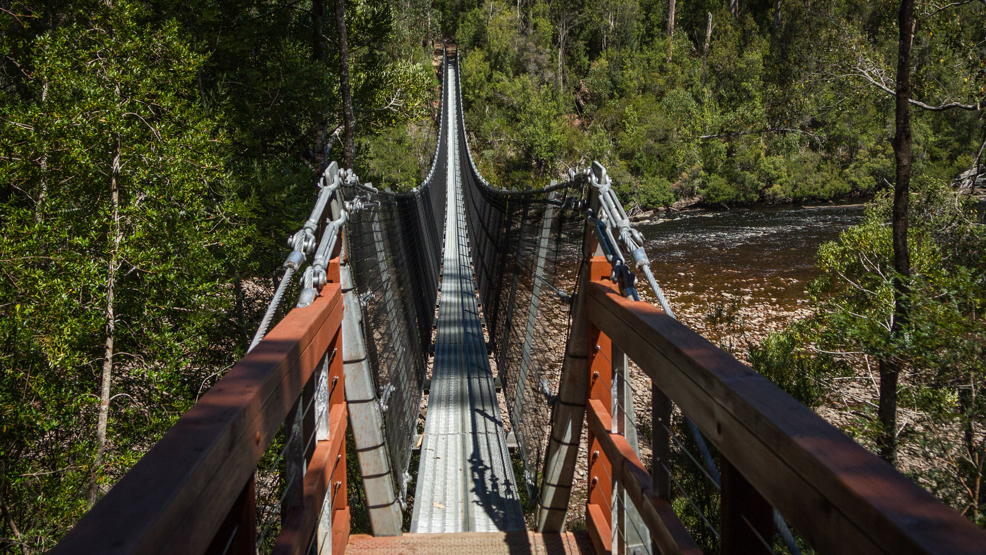 PREMIUM Hartz Mountains & Tahune Airwalk - photo-oriented private day tour (all-inclusive)