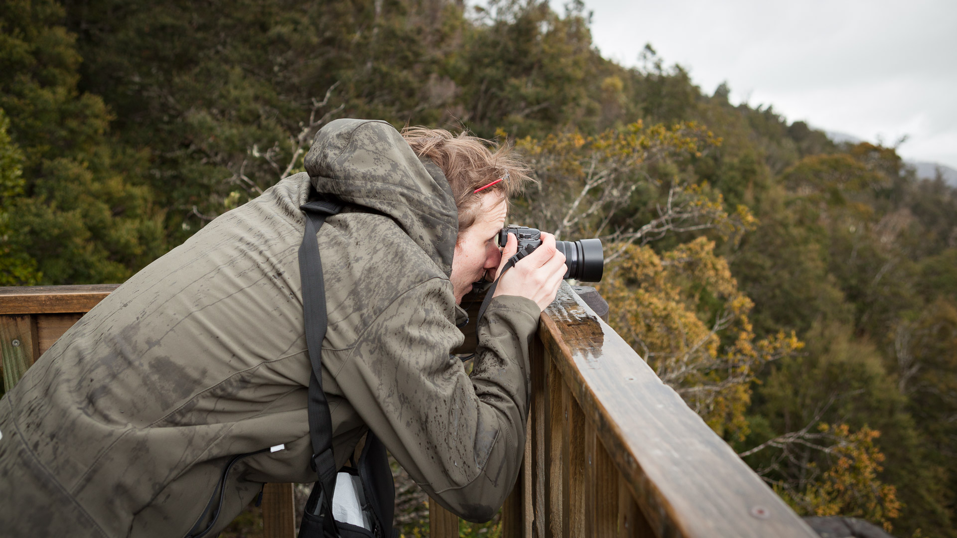 PREMIUM Hartz Mountains & Tahune Airwalk - photo-oriented private day tour (all-inclusive)