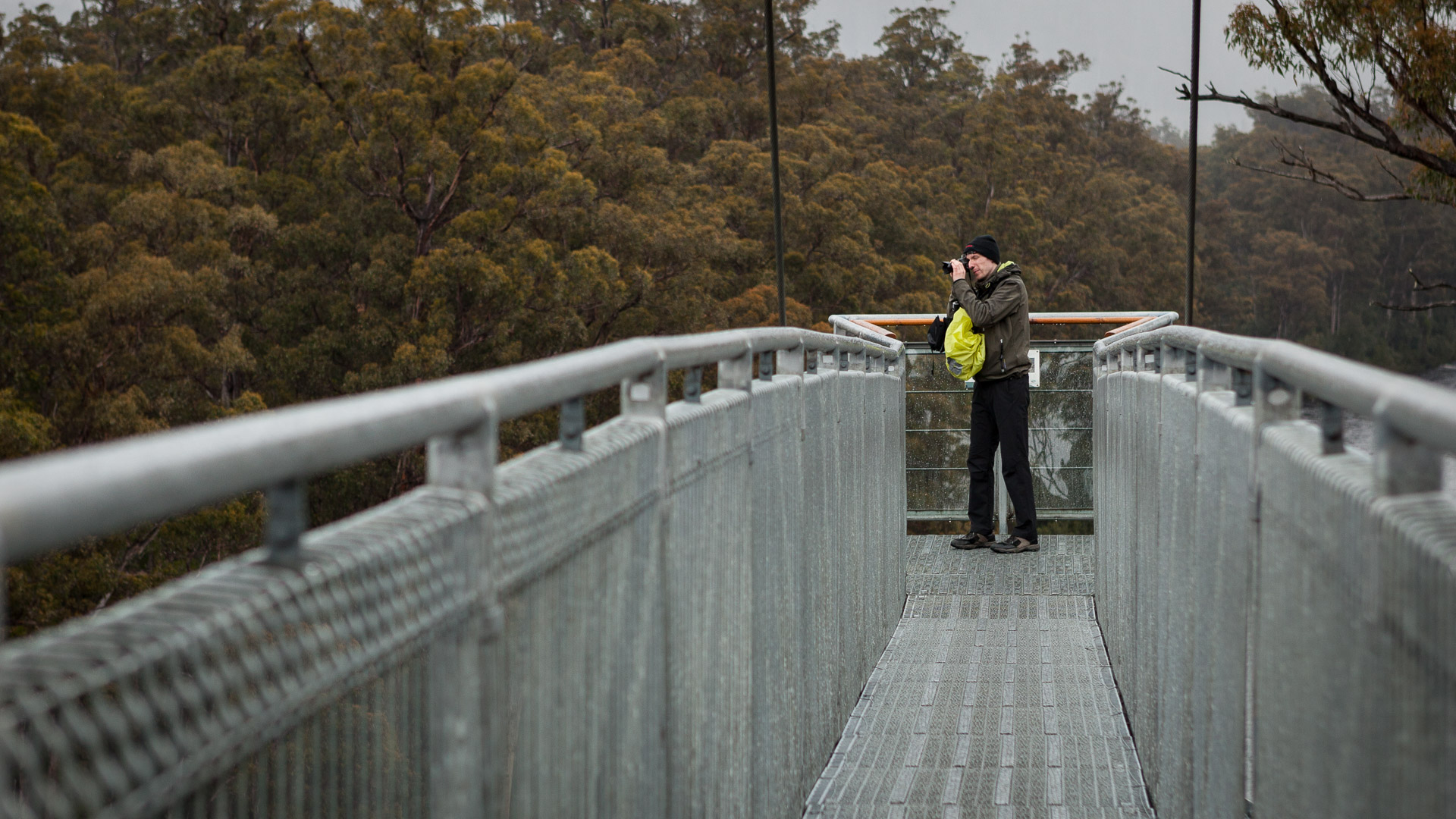 PREMIUM Hartz Mountains & Tahune Airwalk - photo-oriented private day tour (all-inclusive)