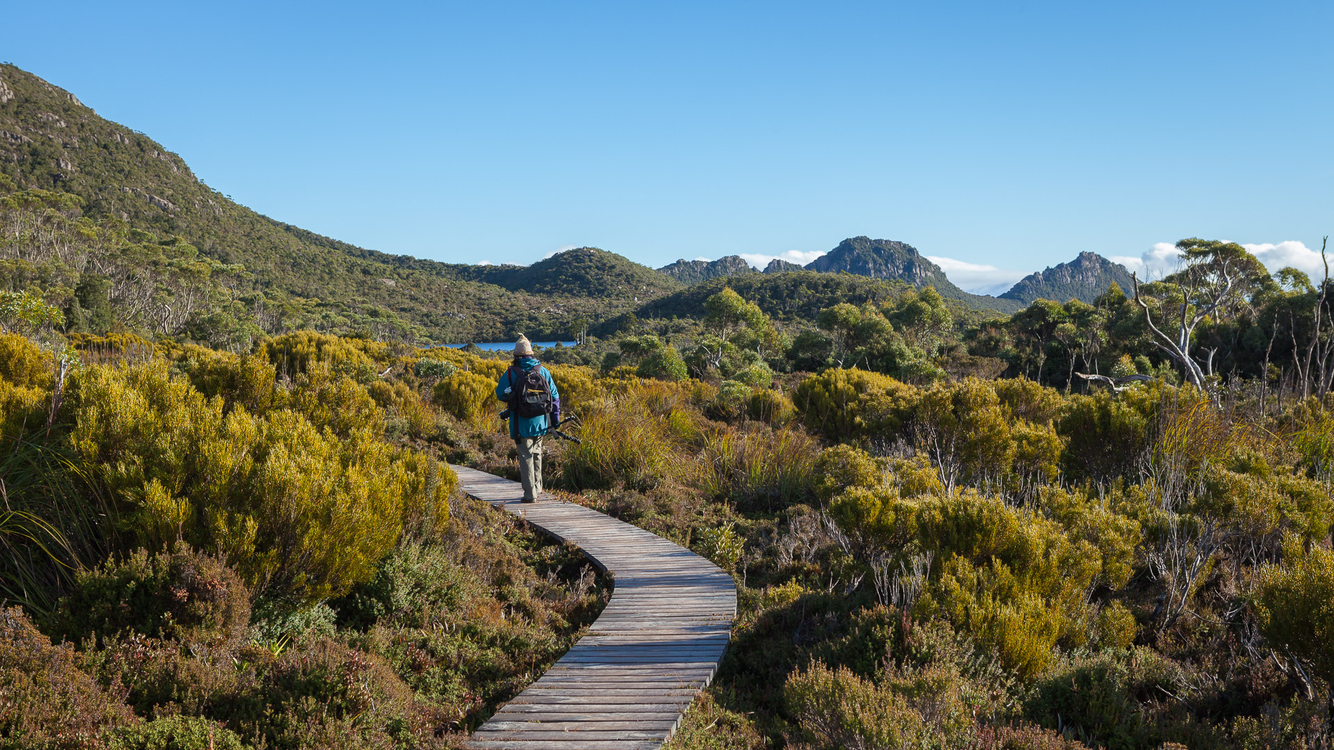 PREMIUM Hartz Mountains & Tahune Airwalk - photo-oriented private day tour (all-inclusive)
