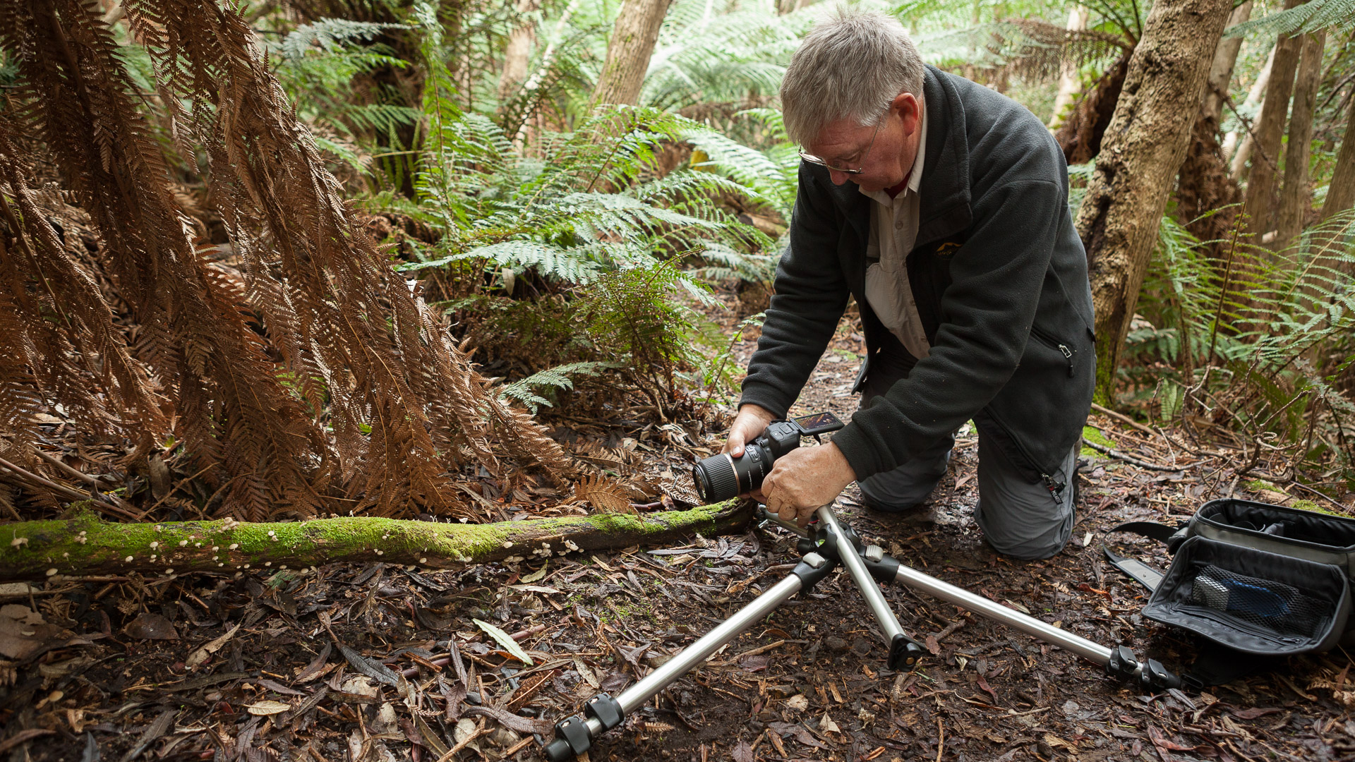 Outdoor Photography Tuition - Half Day