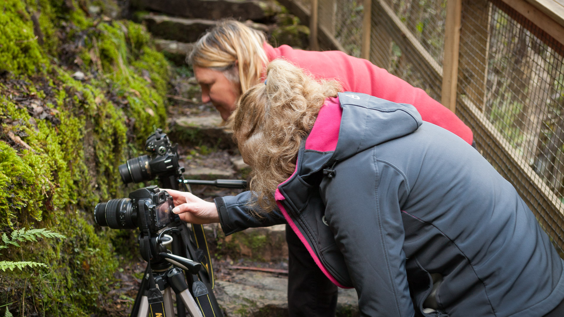 Outdoor Photography Tuition - Half Day