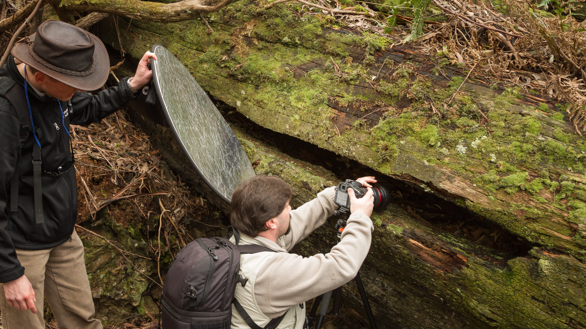 Outdoor Photography Tuition - Half Day