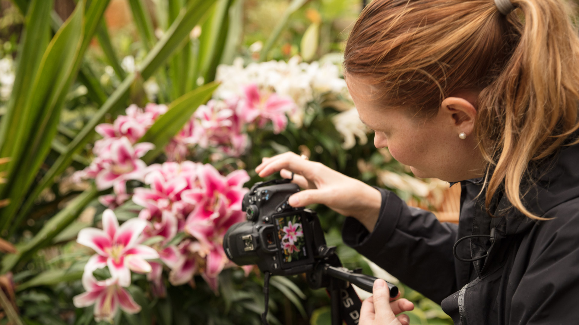 Outdoor Photography Tuition - Half Day