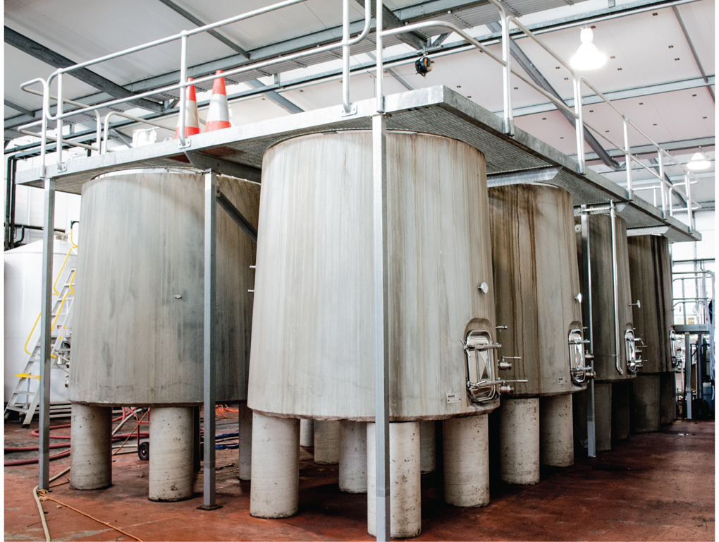 Vineyard Wine & Food Tour 