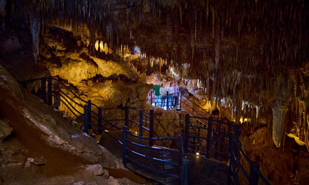 Two Day Extended Tour Margaret River Region (inbound Sydney travellers)