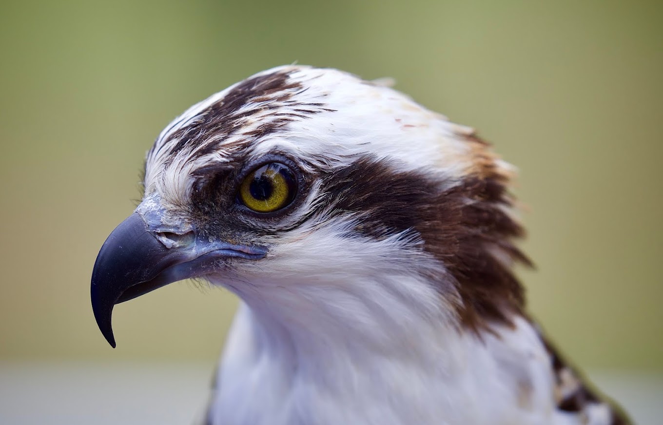 Two Day Extended Tour Margaret River Region (inbound Sydney travellers)