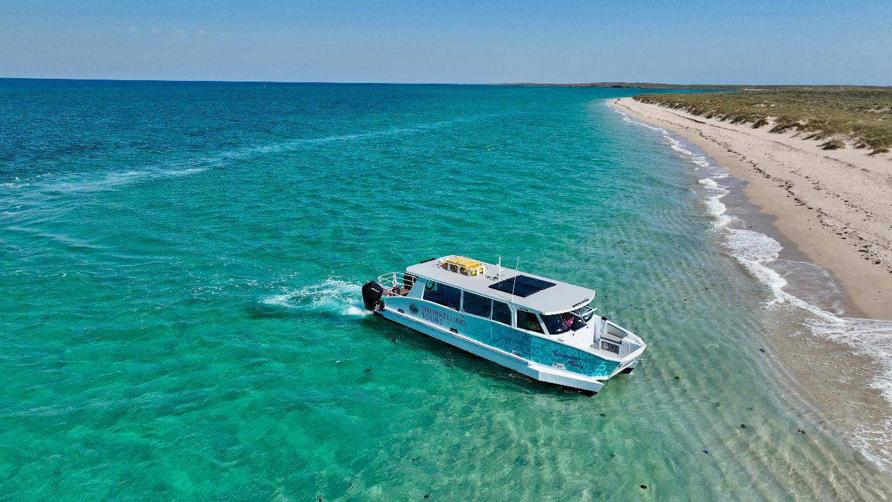 HALF DAY TOTAL NINGALOO Turtles + Snorkelling + Courtesy Bus
