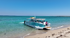 HALF DAY TOTAL NINGALOO New Boat + Turtles + Snorkelling + COURTESY BUS