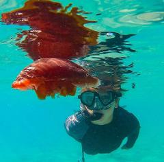 Coral Viewing & Snorkel Tour, Exmouth 2hrs