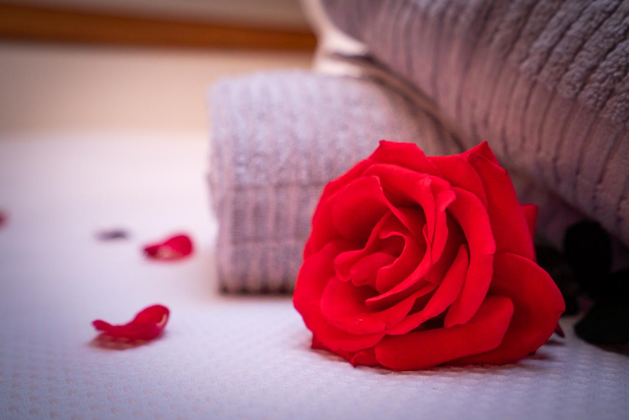 Romantic Cruises YACHT (Overnight) Champagne Sailing Pty Ltd Reservations