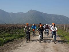 Gran día de bici, naturaleza y vino