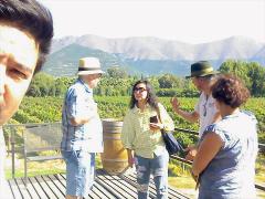 Aconcagua Valley wine lovers Premium tour