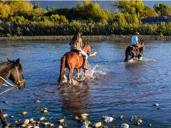 Horseback wine tour and a Chilean country grill