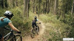 Experience the Thrill of Eurobodalla Forest: Mogo MTB Adventure Day