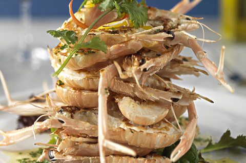 SEAFOOD DINNER & VIVID HARBOUR CRUISE