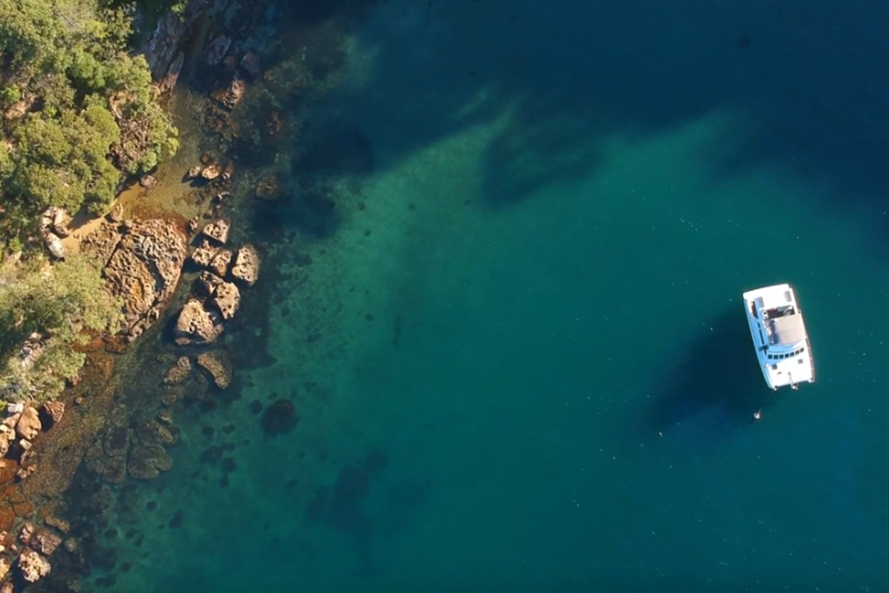 Harbour Sights Lunch Cruise