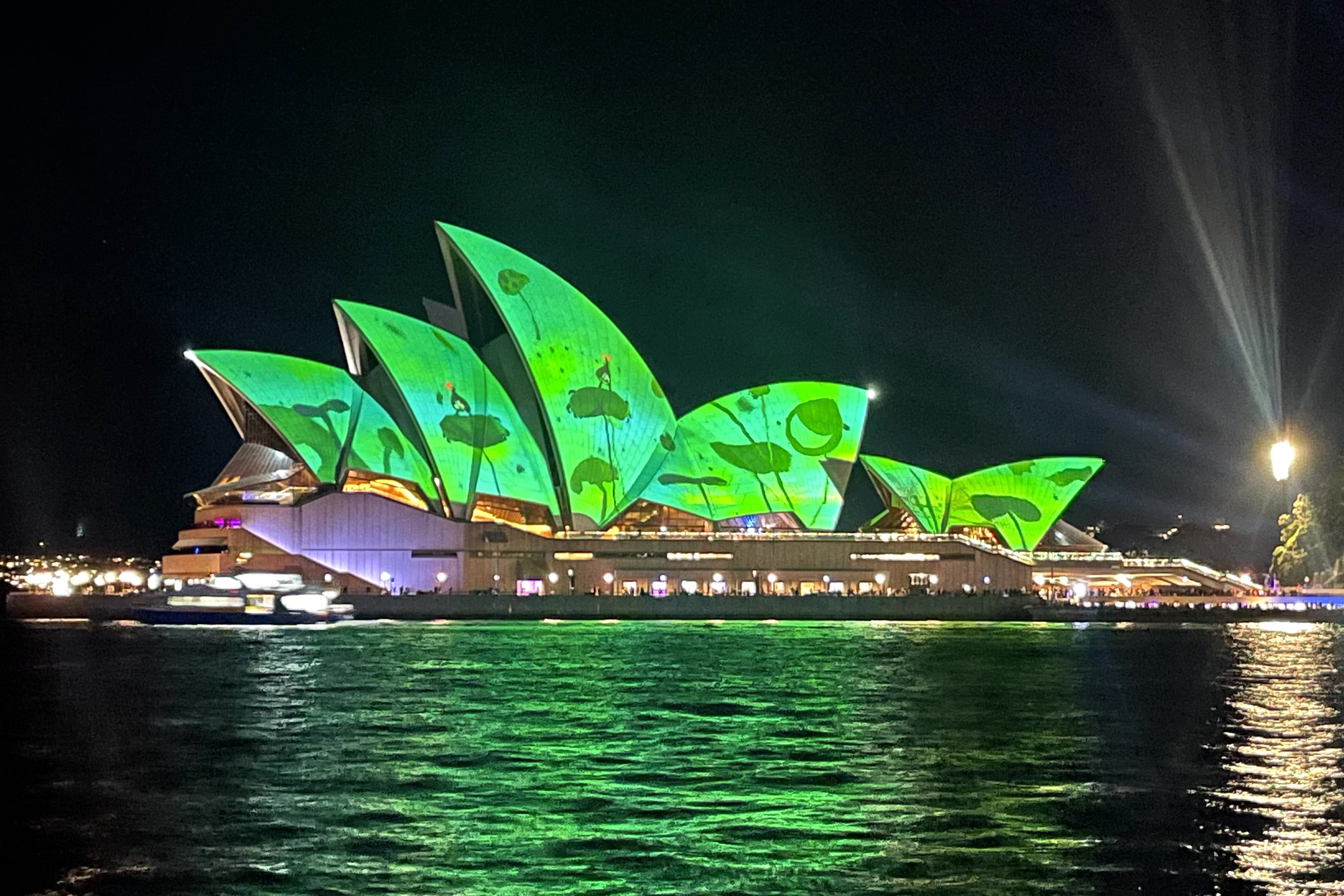 Vivid Sydney Intimate Catamaran Cruise on Fleetwing II
