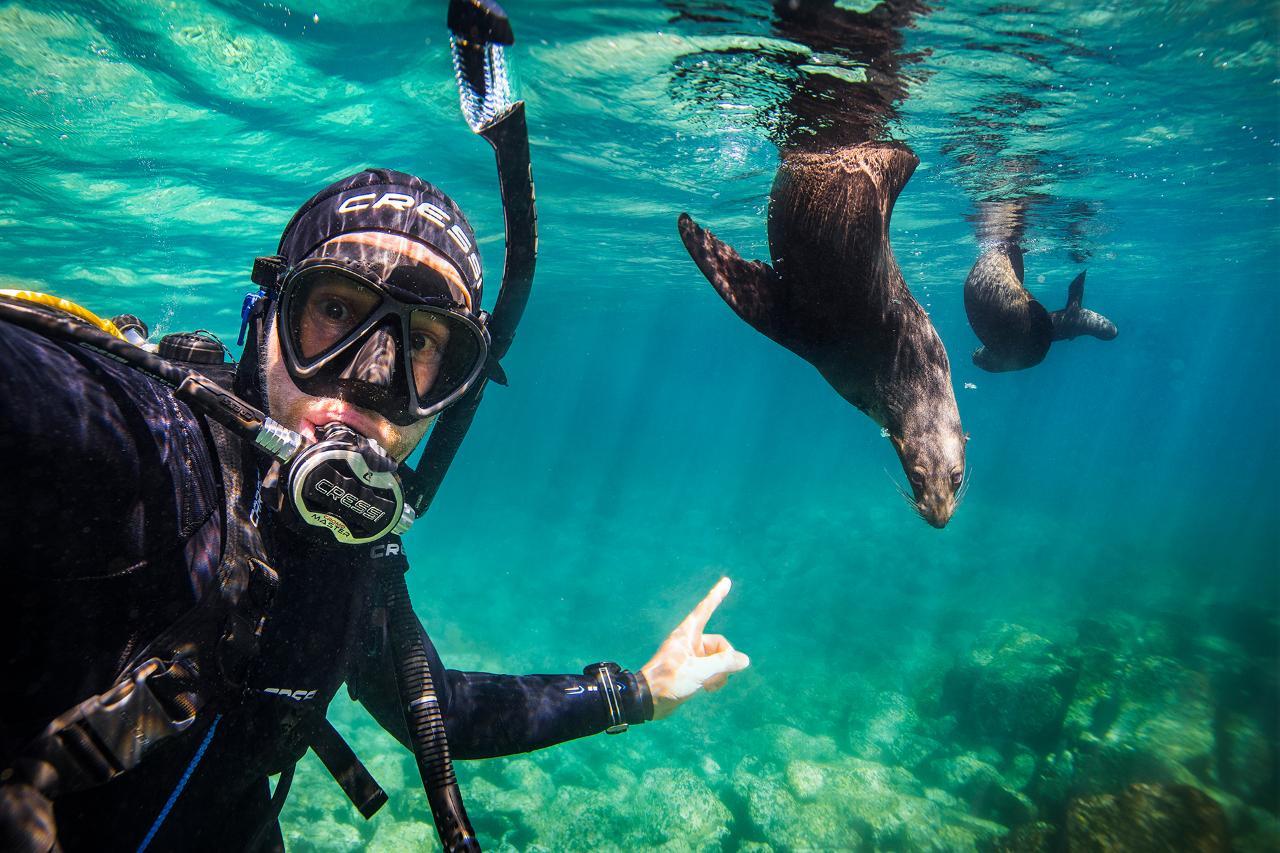 Discover Scuba Diving. No experience needed!