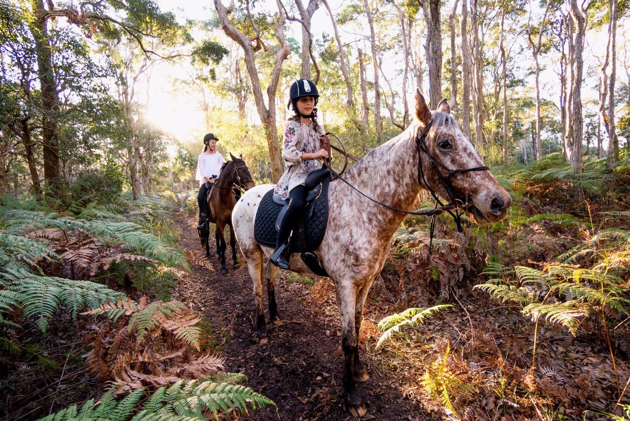 PRIVATE 1.5hr Forest Trail (4 max - additional costs apply)