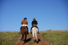 Private Sun Ranch Tour for 1-2 people - $799