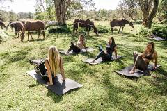 ZEN AT ZEPHYR - PREMIUM UNLIMITED