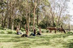 ZEN AT ZEPHYR - 10 PACK