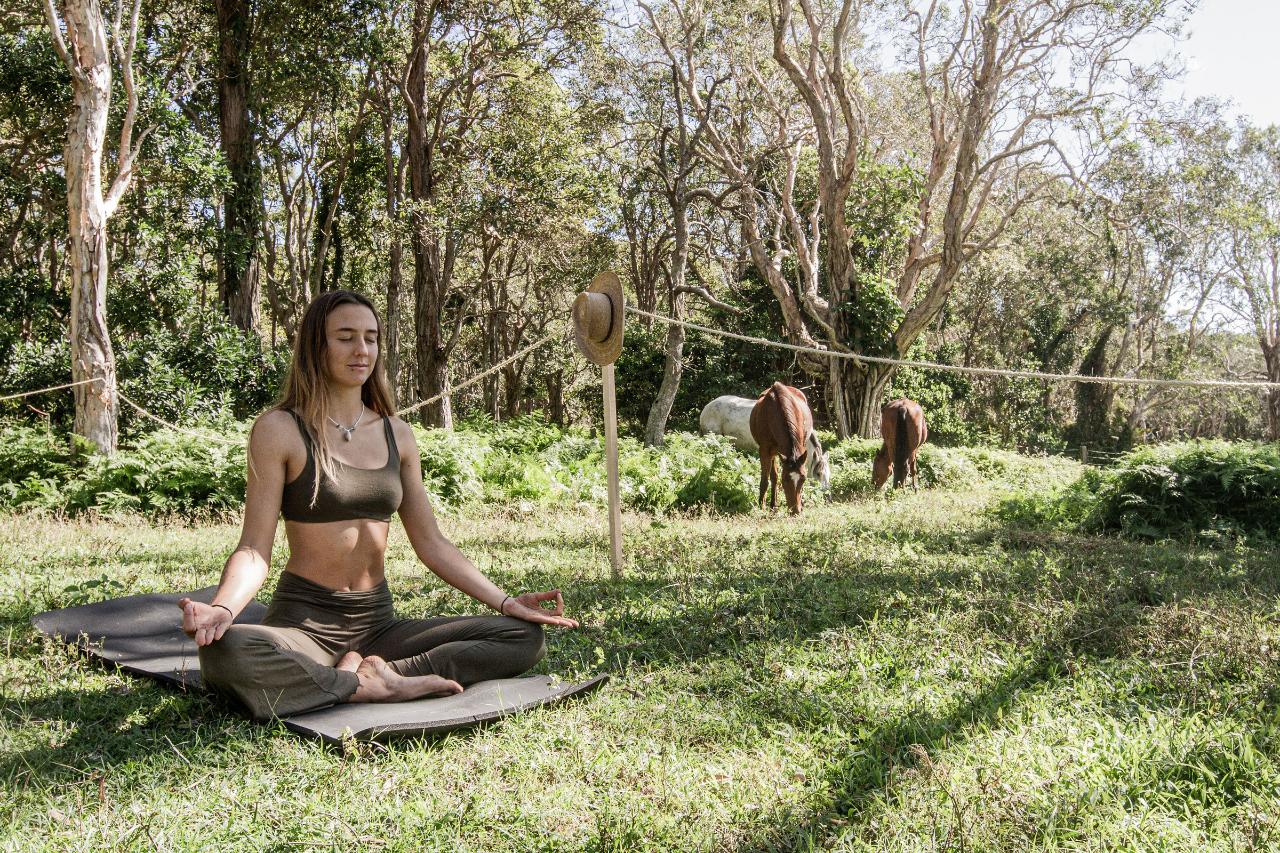 ZEN AT ZEPHYR - MEDITATION