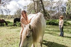 ZEN AT ZEPHYR - Equine Assisted Connection