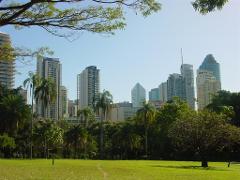 02.GC Thursday Day Tour - Brisbane City, Mt Cootha Tea House & Southbank Gardens