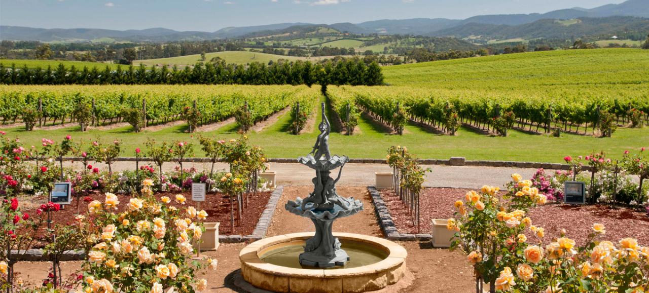 Yarra Valley Private Wine Tour $249 Lunch at TOKAR ESTATE (THREE/3)