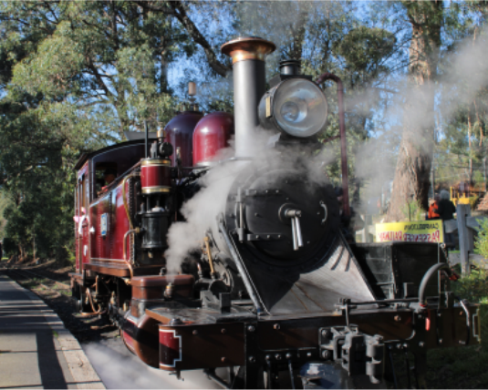 Philip Island  Penguins Private Tour and Puffing Billy Steam Train