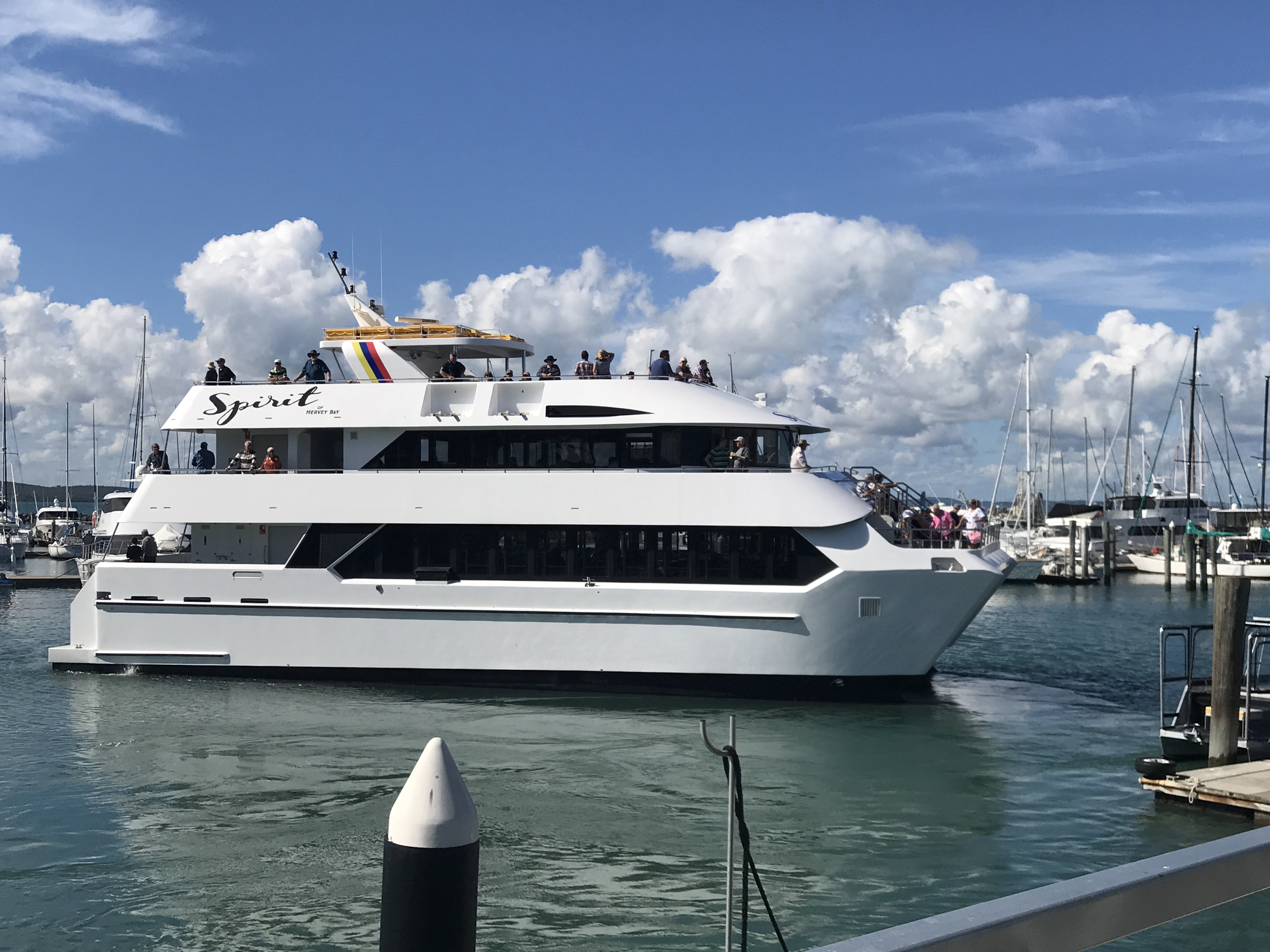 boat cruises hervey bay