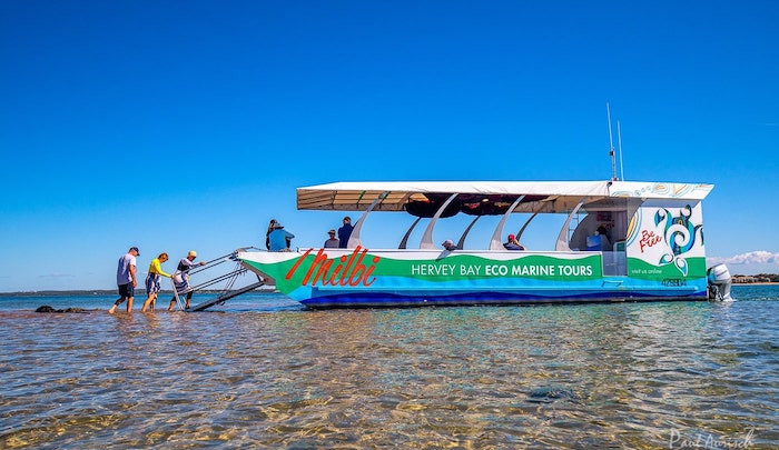 Eco Marine Tour - Snorkel, Swim, Explore on this Glass Bottom Boat Tour - $125 Adult