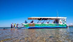  Eco Marine Tour - Snorkel, Swim, Explore on this Glass Bottom Boat Tour - $120 Adult