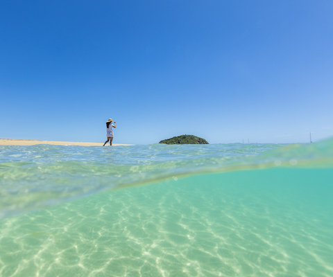 Lady Enid Sailing - Langford Island + Snorkelling