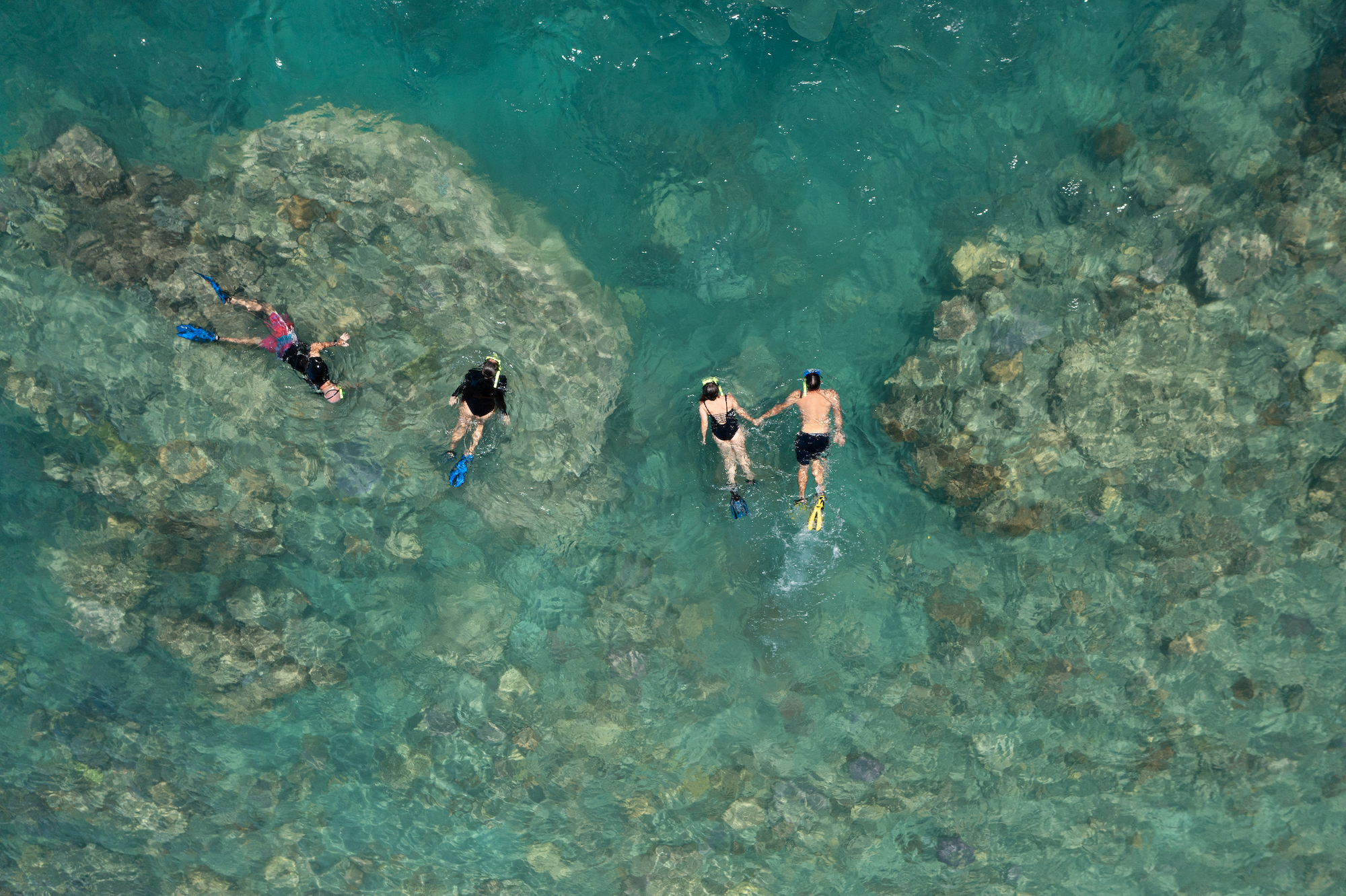 Lady Enid Whitehaven + Snorkelling