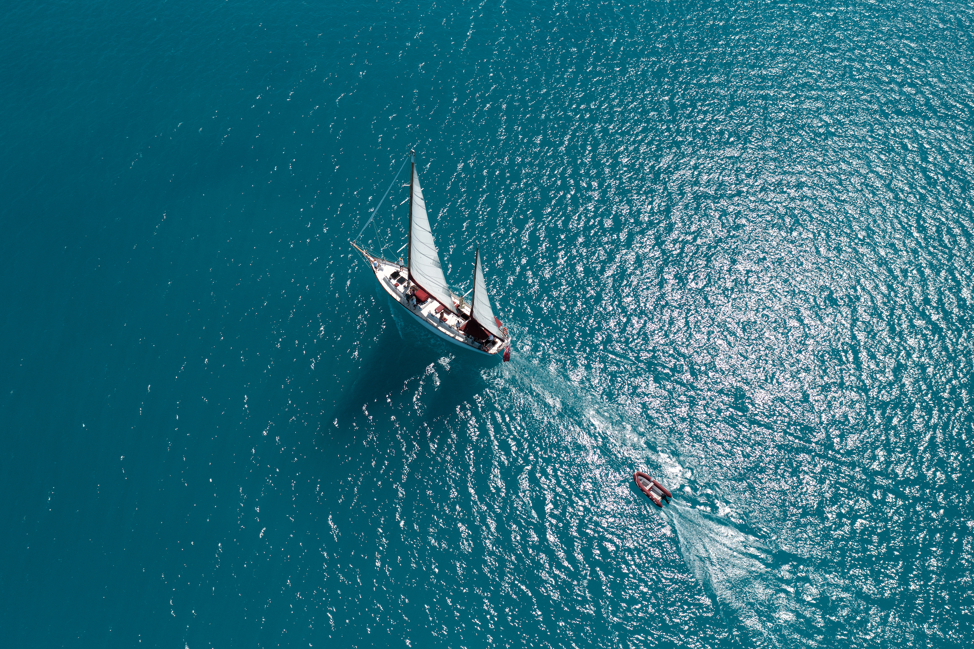 Lady Enid Whitehaven + Snorkelling