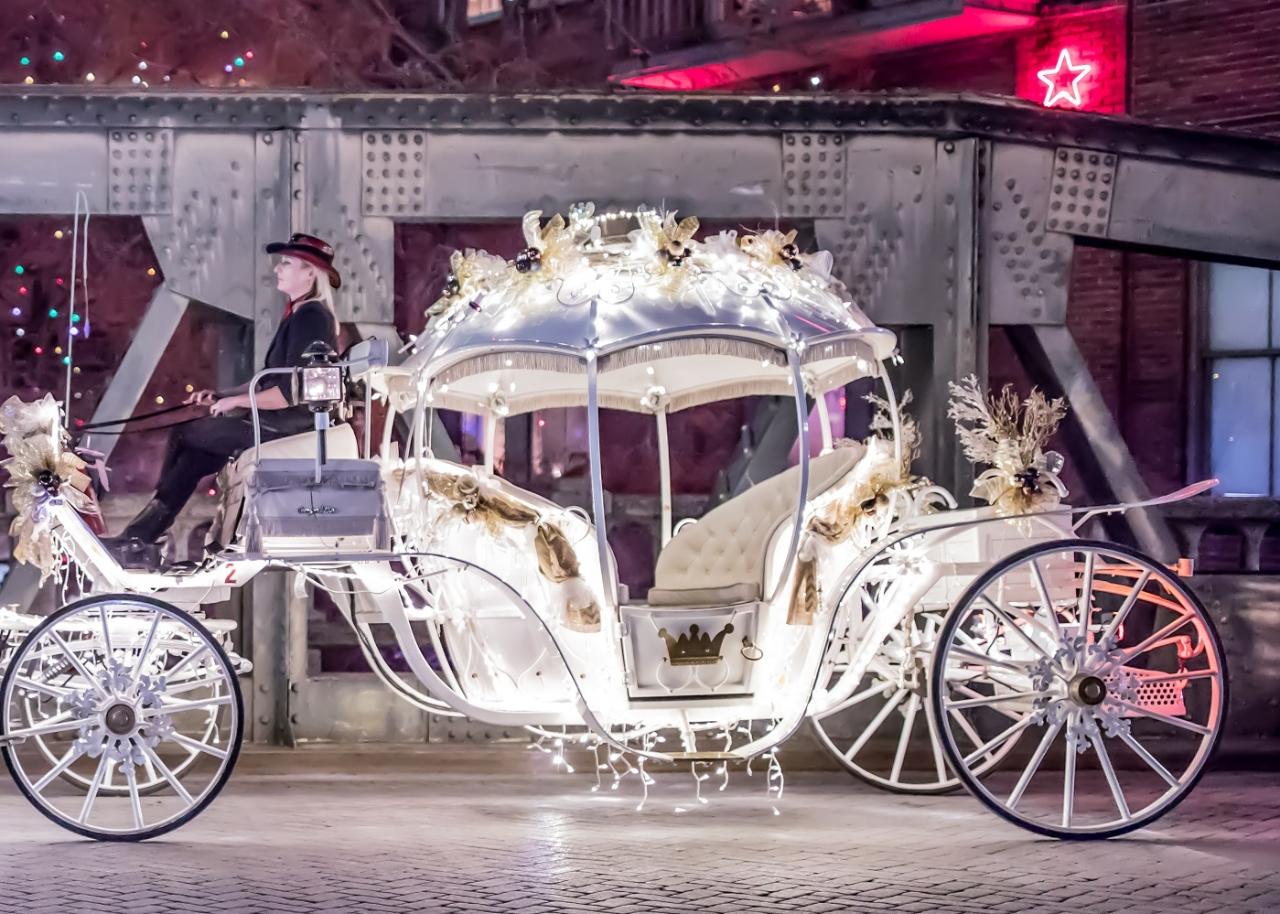 Valentines Carriage Ride Through Downtown Houston (Pickup at Discovery