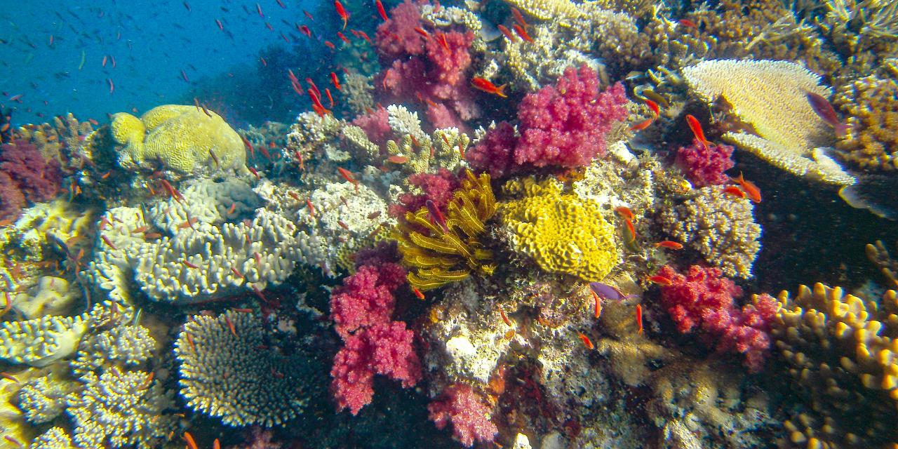 Hanging Rock Double Dive